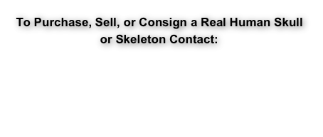 To Purchase, Sell, or Consign a Real Human Skull  or Skeleton Contact:

Info@RealSkulls.com


